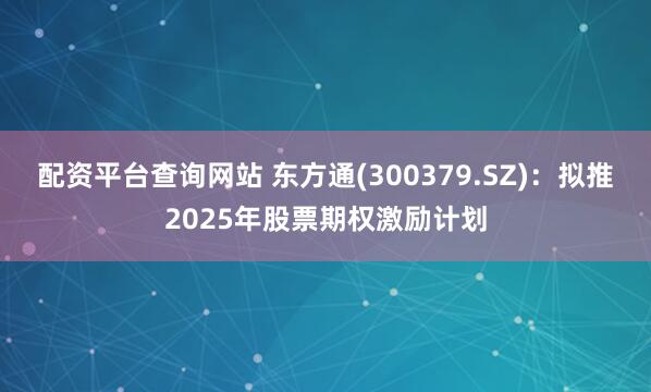配资平台查询网站 东方通(300379.SZ)：拟推2025年股票期权激励计划