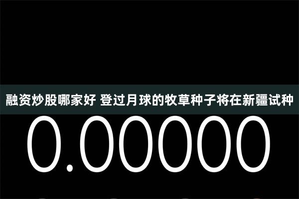 融资炒股哪家好 登过月球的牧草种子将在新疆试种