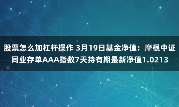 股票怎么加杠杆操作 3月19日基金净值：摩根中证同业存单AAA指数7天持有期最新净值1.0213