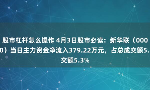 股市杠杆怎么操作 4月3日股市必读：新华联（000620）当日主力资金净流入379.22万元，占总成交额5.3%