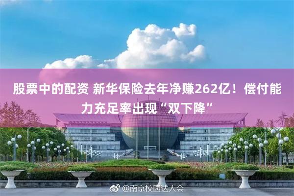股票中的配资 新华保险去年净赚262亿！偿付能力充足率出现“双下降”