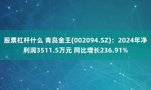 股票杠杆什么 青岛金王(002094.SZ)：2024年净利润3511.5万元 同比增长236.91%
