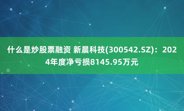 什么是炒股票融资 新晨科技(300542.SZ)：2024年度净亏损8145.95万元