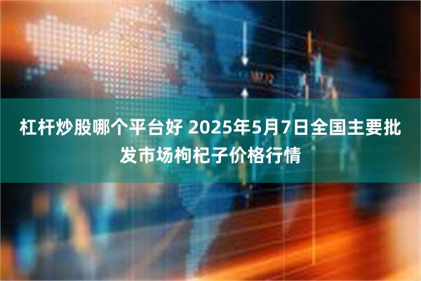 杠杆炒股哪个平台好 2025年5月7日全国主要批发市场枸杞子价格行情