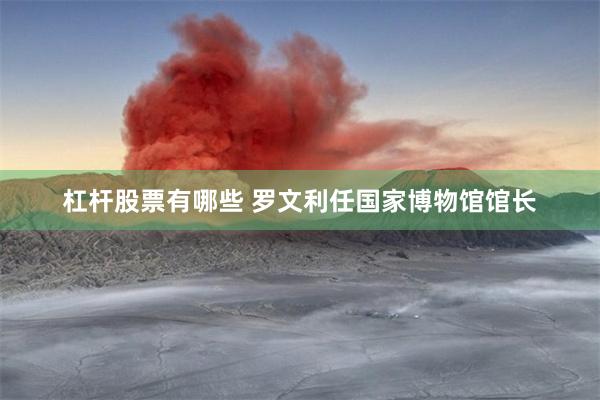 杠杆股票有哪些 罗文利任国家博物馆馆长