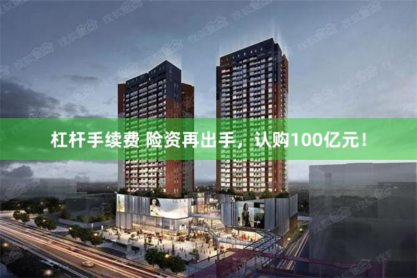 杠杆手续费 险资再出手，认购100亿元！