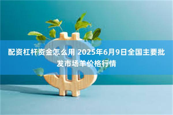 配资杠杆资金怎么用 2025年6月9日全国主要批发市场羊价格行情